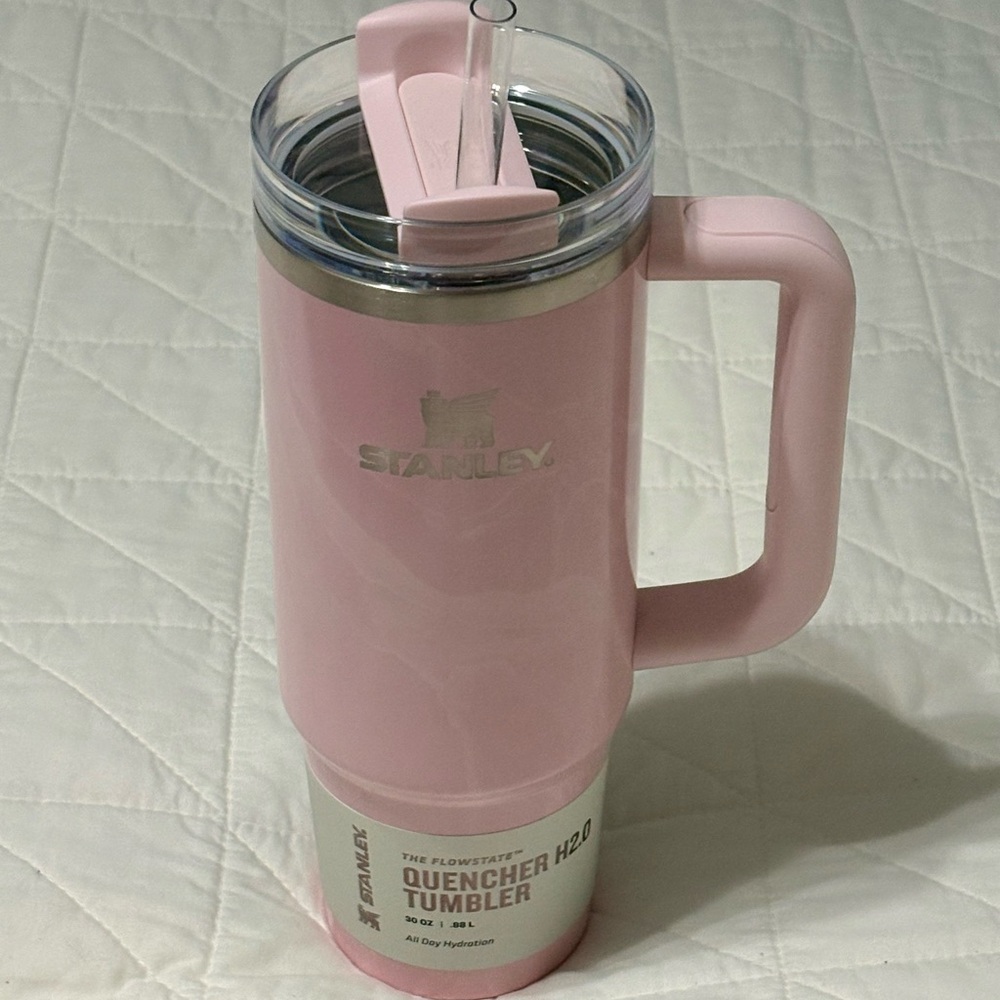 Stanley Quencher H2.0 30oz Tumbler - Pink Parade Limited Edition Silver Accent